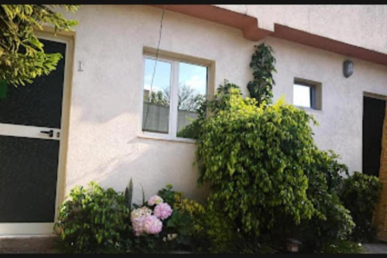 Wib Guesthouse แอดดิสอาบาบา ภายนอก รูปภาพ
